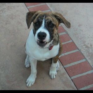 Meet your Posher, Cole